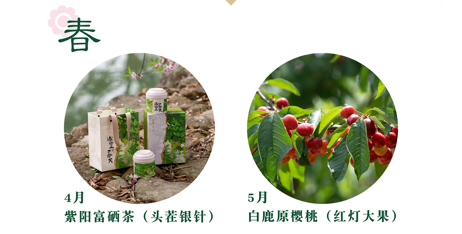 四季见山-让田间的匠人被更多人认可