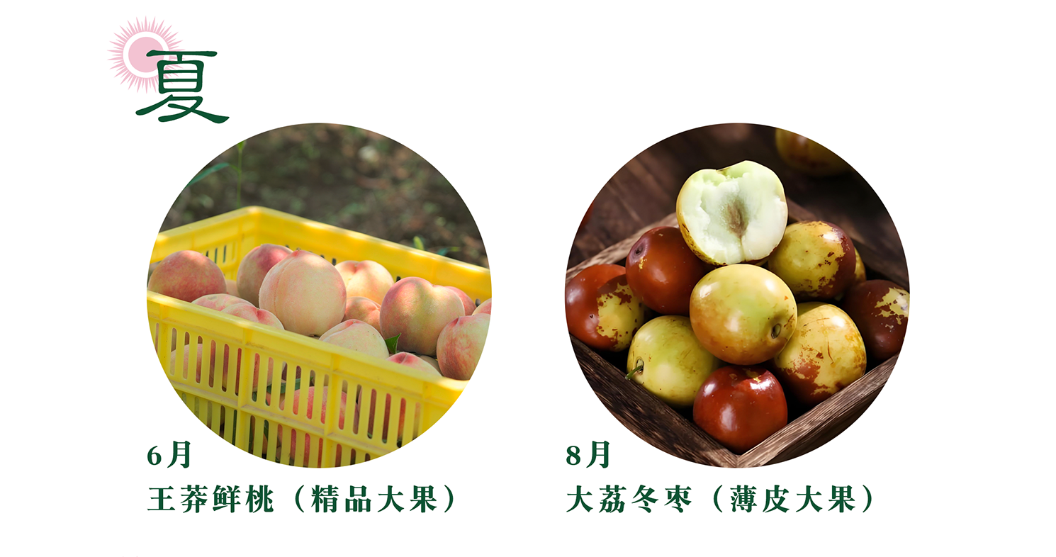 四季见山-让田间的匠人被更多人认可