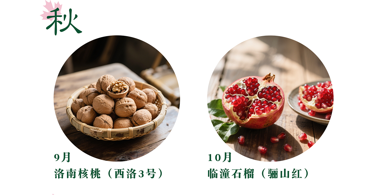 四季见山-让田间的匠人被更多人认可