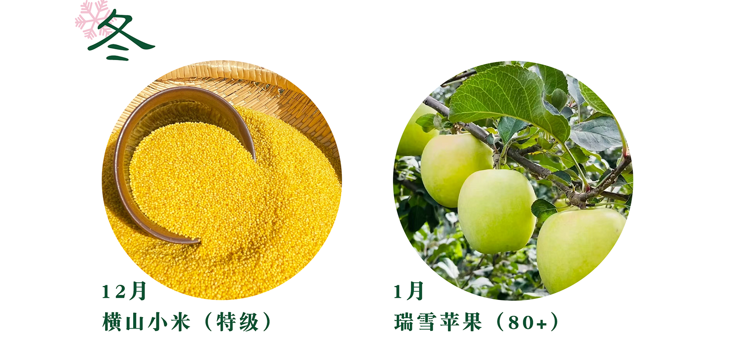 四季见山-让田间的匠人被更多人认可