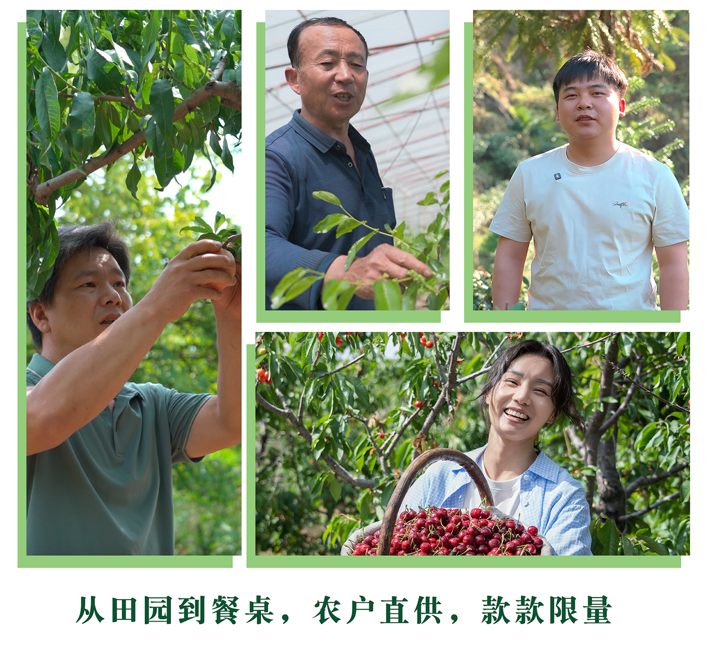 四季见山-让田间的匠人被更多人认可